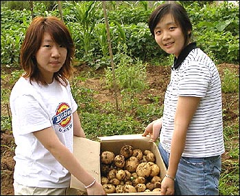 한빛고 학생들은 자신들이 직접 심고 수확한 각종 야채를 급식재료로 사용하고 있다. 